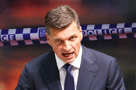EXCLUSIVE – Angus Taylor reveals crackdown on foreign criminals