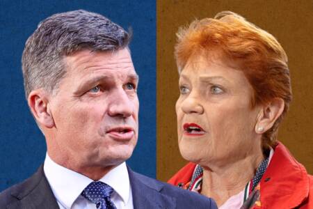 ‘Common enemy’ – Liberals back deal with One Nation
