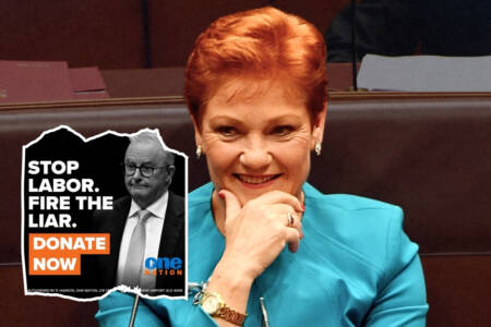 ‘Fire the liar’ – One Nation launches ad blitz against PM