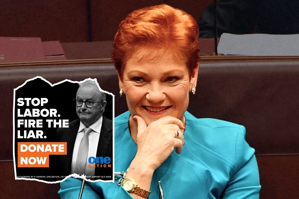 Article image for ‘Fire the liar’ – One Nation launches ad blitz against PM