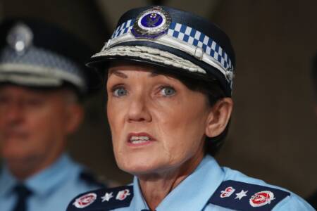 ‘Toxic personalities’ – Karen Webb responds to NSW Police bullying review