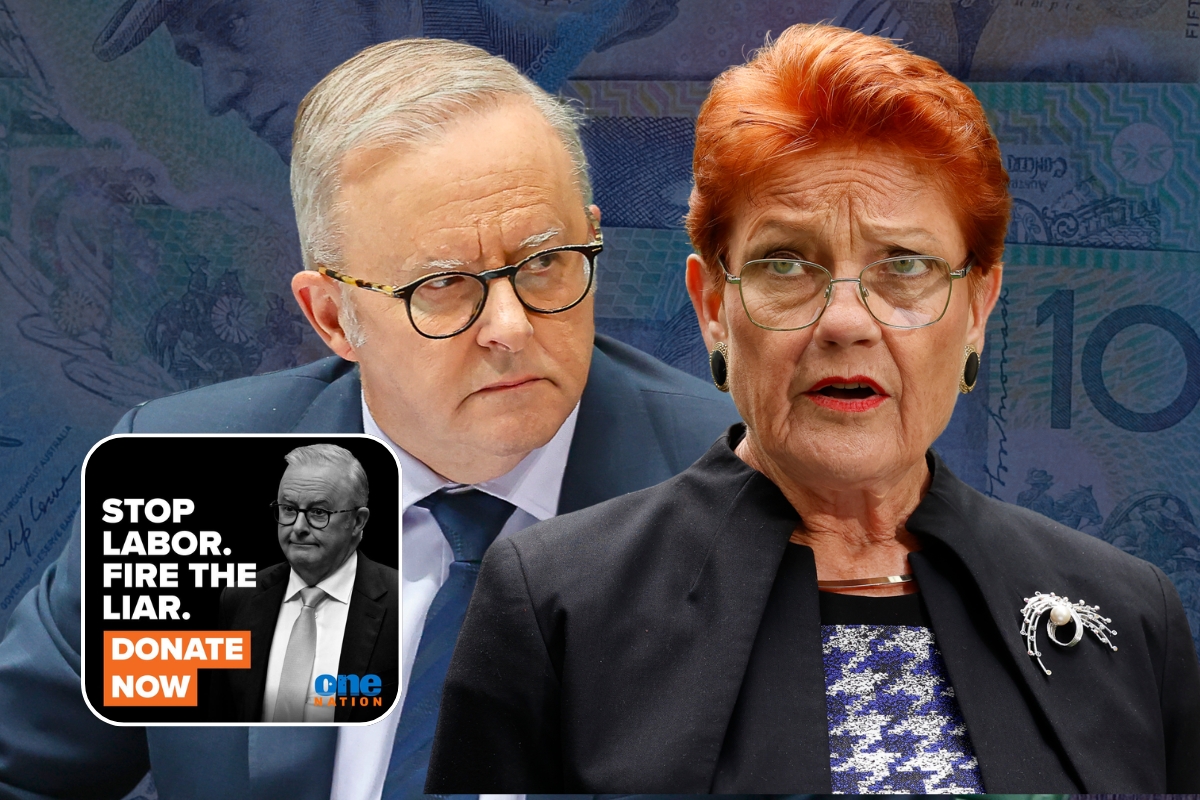 Article image for ‘Nearly $3 million’ – Anti-Albo donations explode