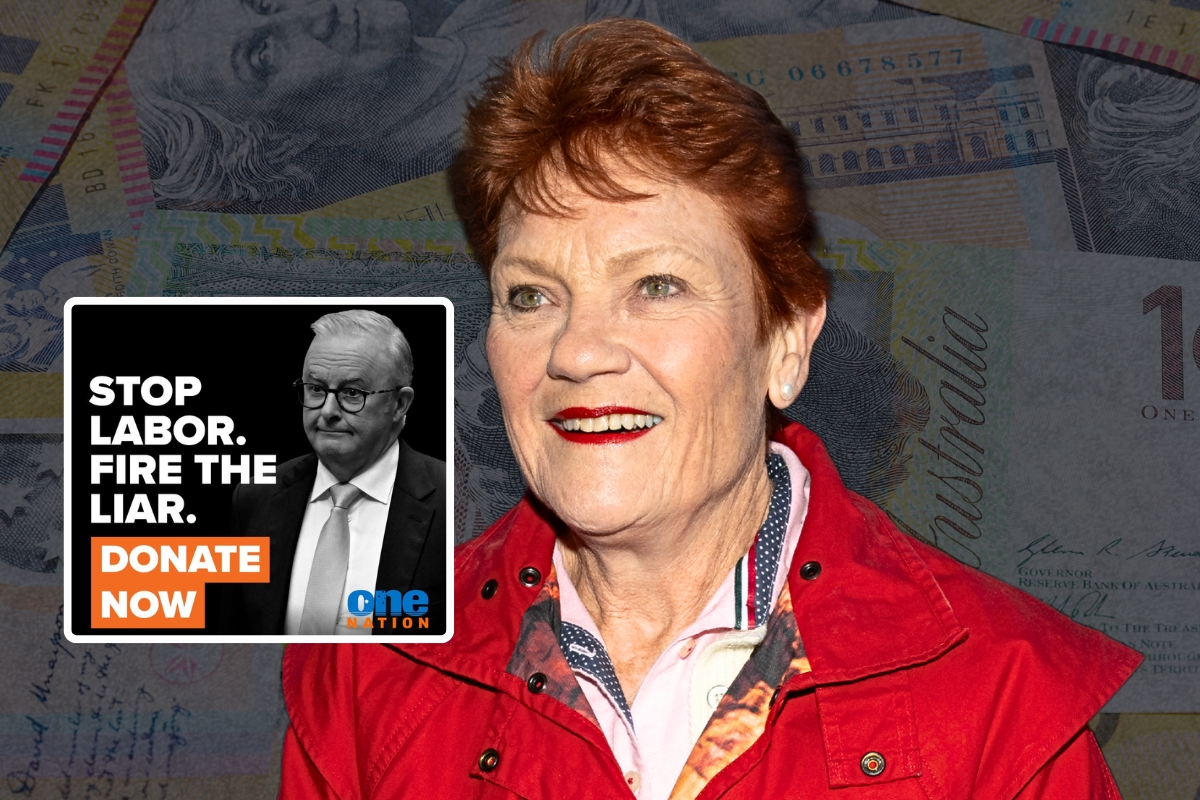 Article image for ‘$4 million’ – Donations surge as Pauline Hanson becomes preferred PM