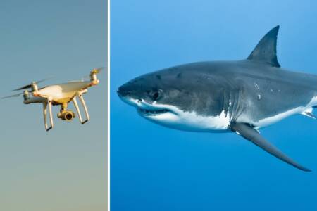 ‘Deal reached’ – Drones to fly over Coogee following shark attack