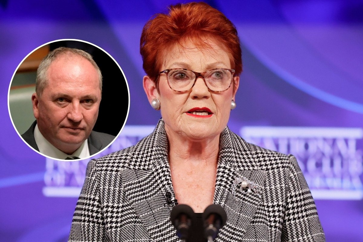 Article image for ‘Blown up the place’ – Barnaby’s chilling security warning after Hanson banner stunt