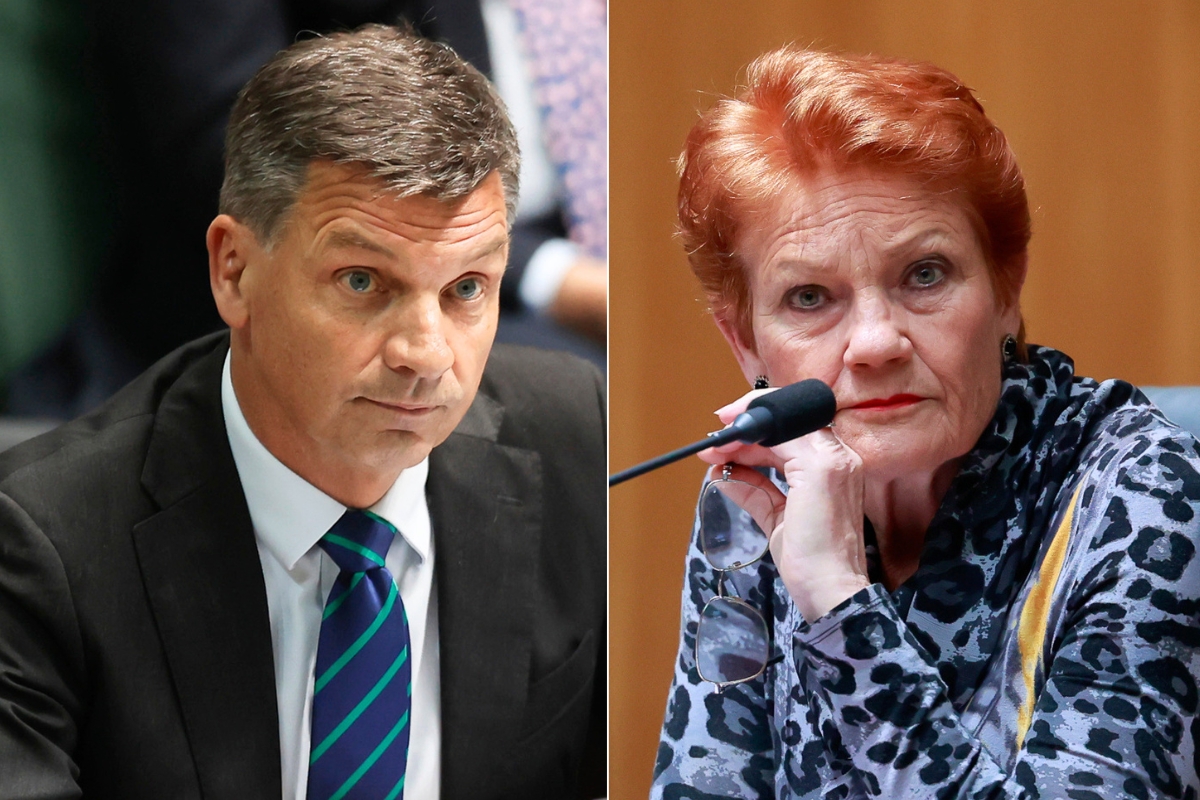Article image for ‘You need her’ – Angus Taylor grilled over Pauline Hanson snub