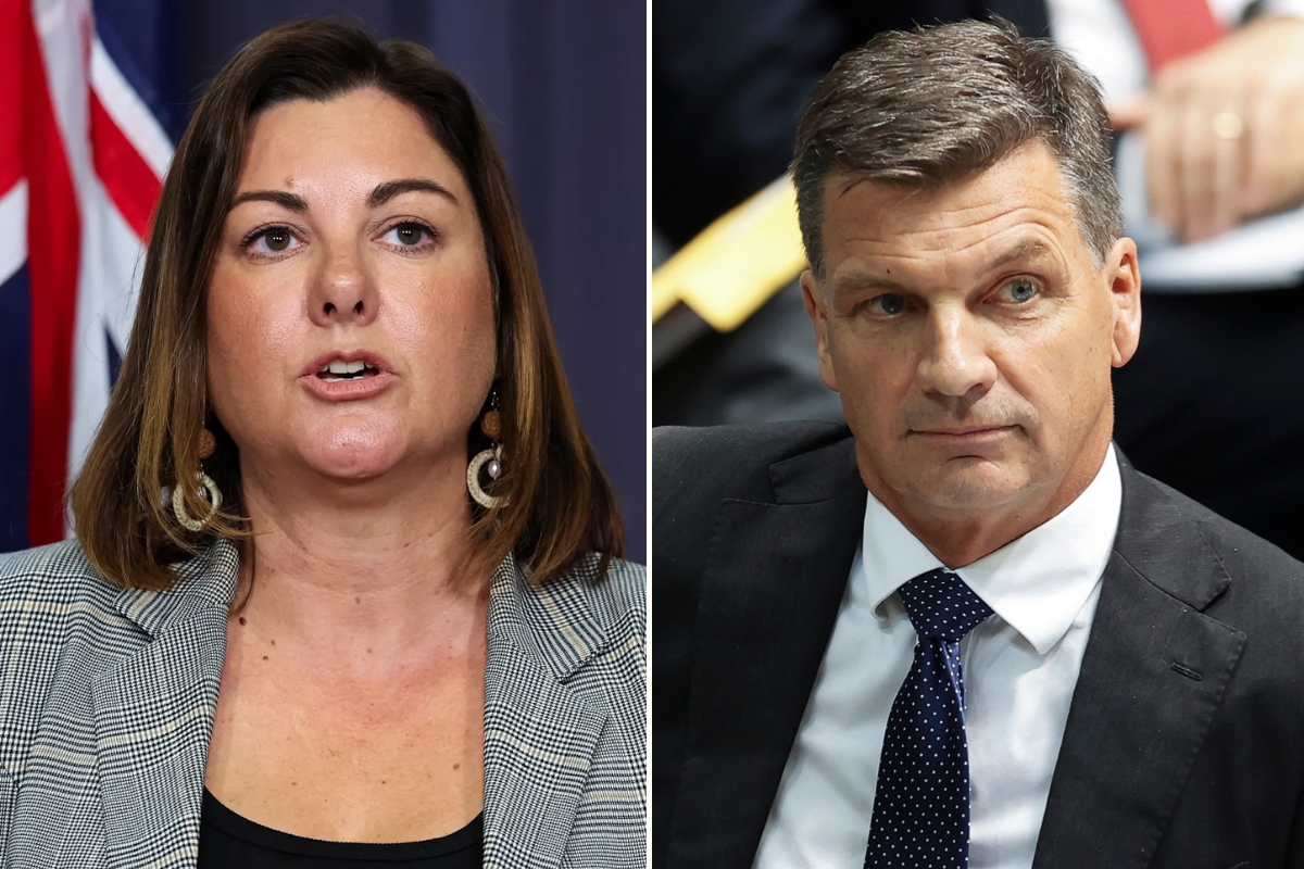 Article image for ‘Take action against her’ – Former House Speaker on Question Time outburst