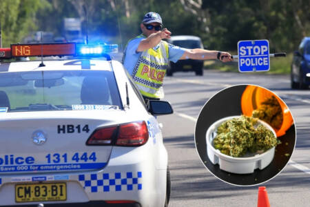 ‘Major blowback’ – Leading doctors unite against drug driving proposal