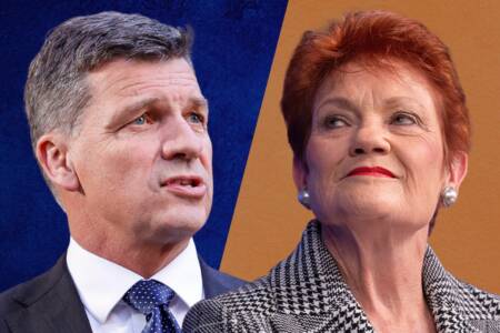 ‘Not enemies’ – Pauline Hanson responds to attack by Angus Taylor