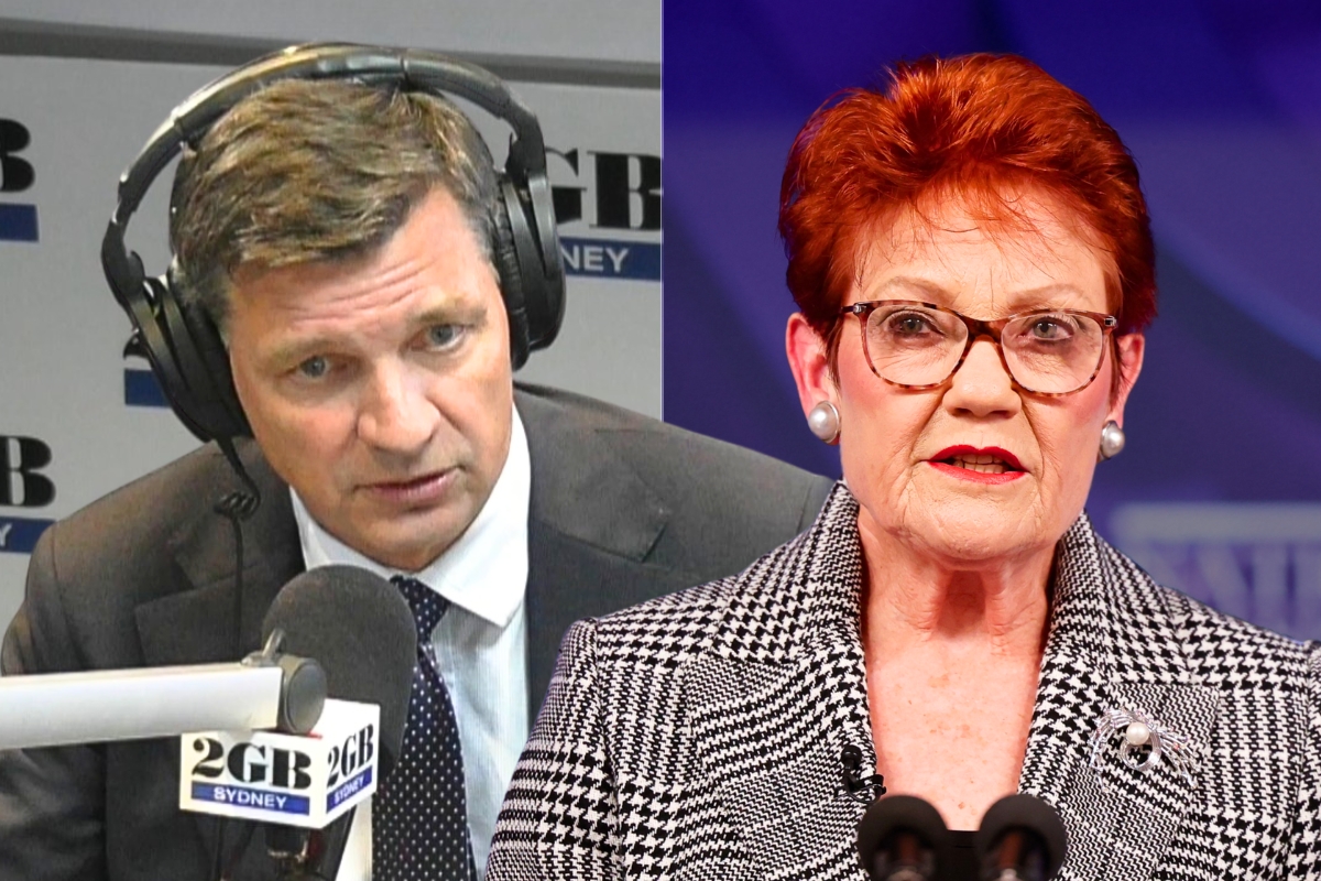 Article image for ‘Heavy heart’ – Angus Taylor on attacking Pauline Hanson