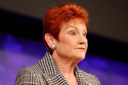 ‘Fact-check’ – Pauline Hanson’s parliamentary record investigated