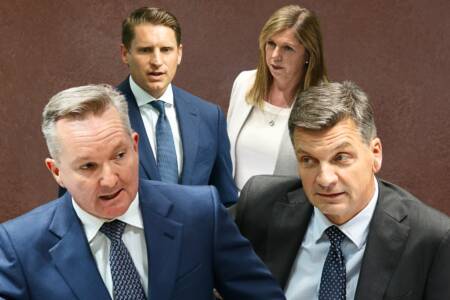 ‘Firing line’ – High profile pollies under threat from One Nation