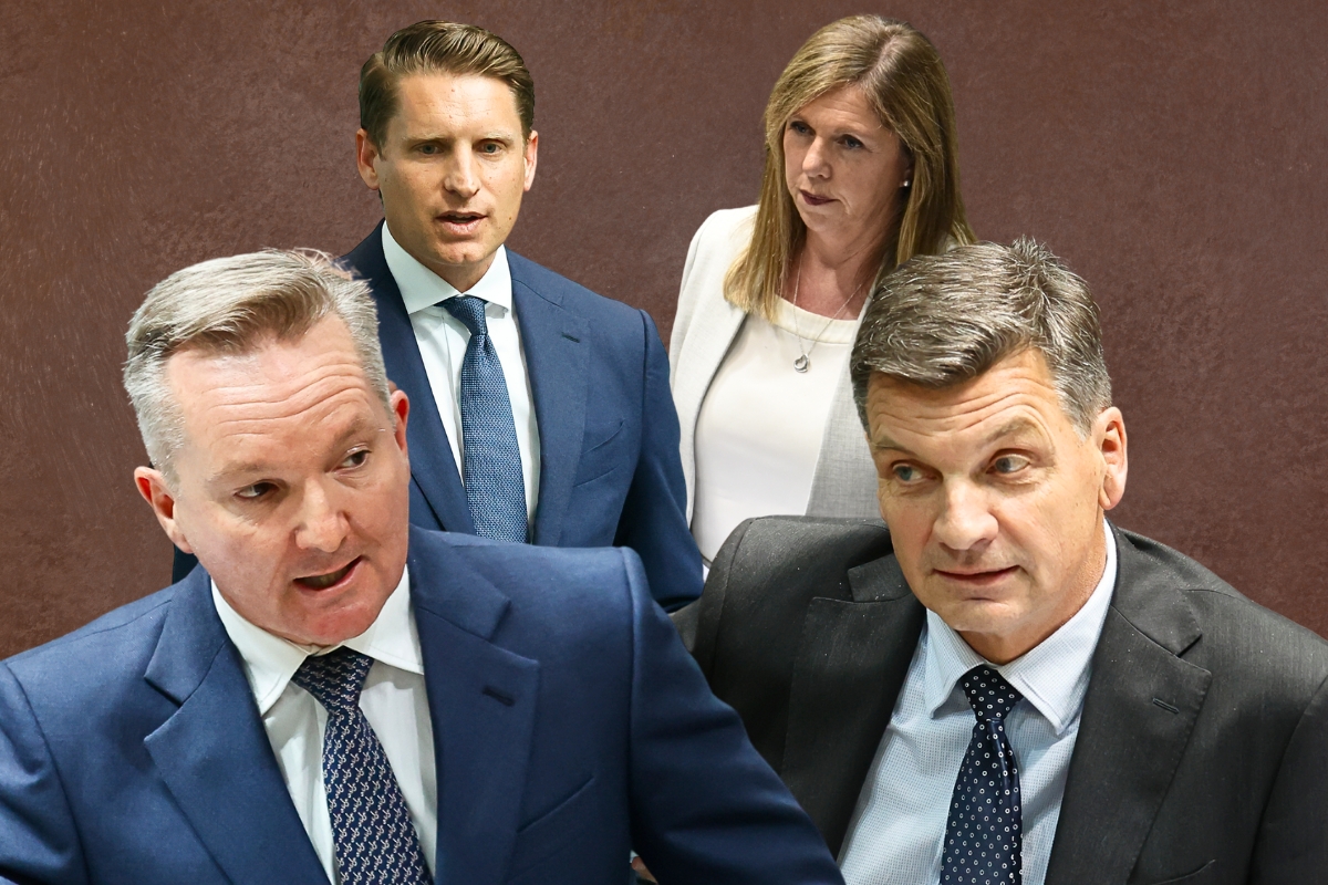 Article image for ‘Firing line’ – High profile pollies under threat from One Nation