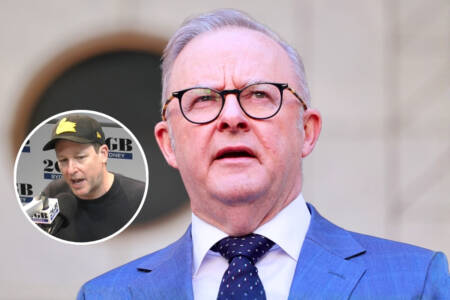 ‘Bad smell’ – Albo’s money for media scheme