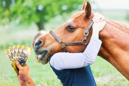 ‘Horse therapy’ – Crackdown on latest NDIS scam