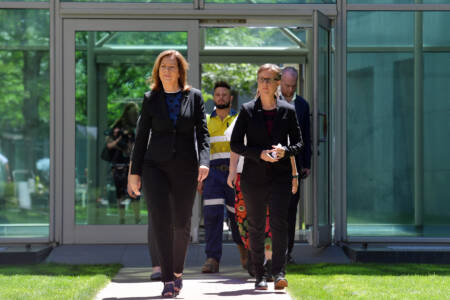 Michael McLaren questions Albo’s praise of outgoing ACTU leaders