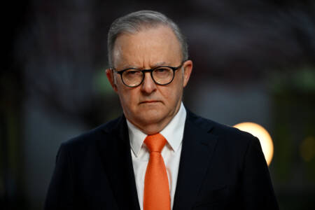 ‘Excuses, excuses, excuses’- How Albanese is dismissing the public’s intelligence