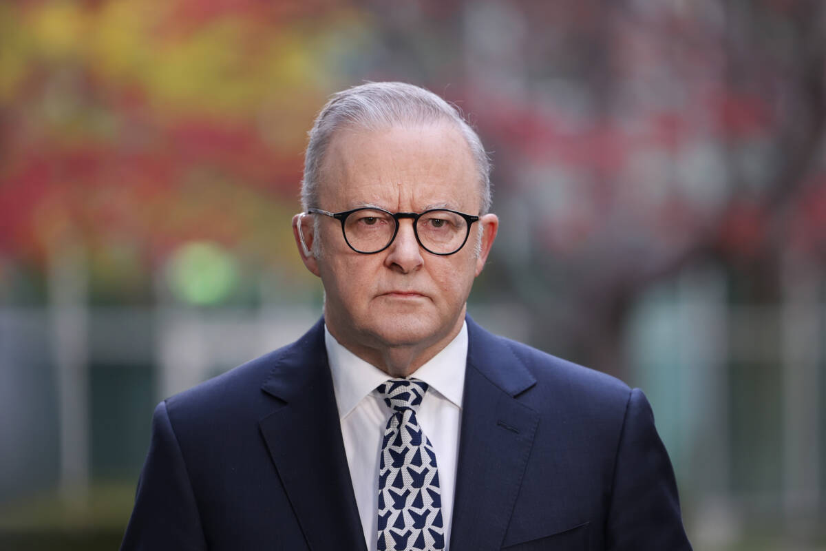 Article image for ‘They don’t govern for all’ – Why Albo doesn’t care about you