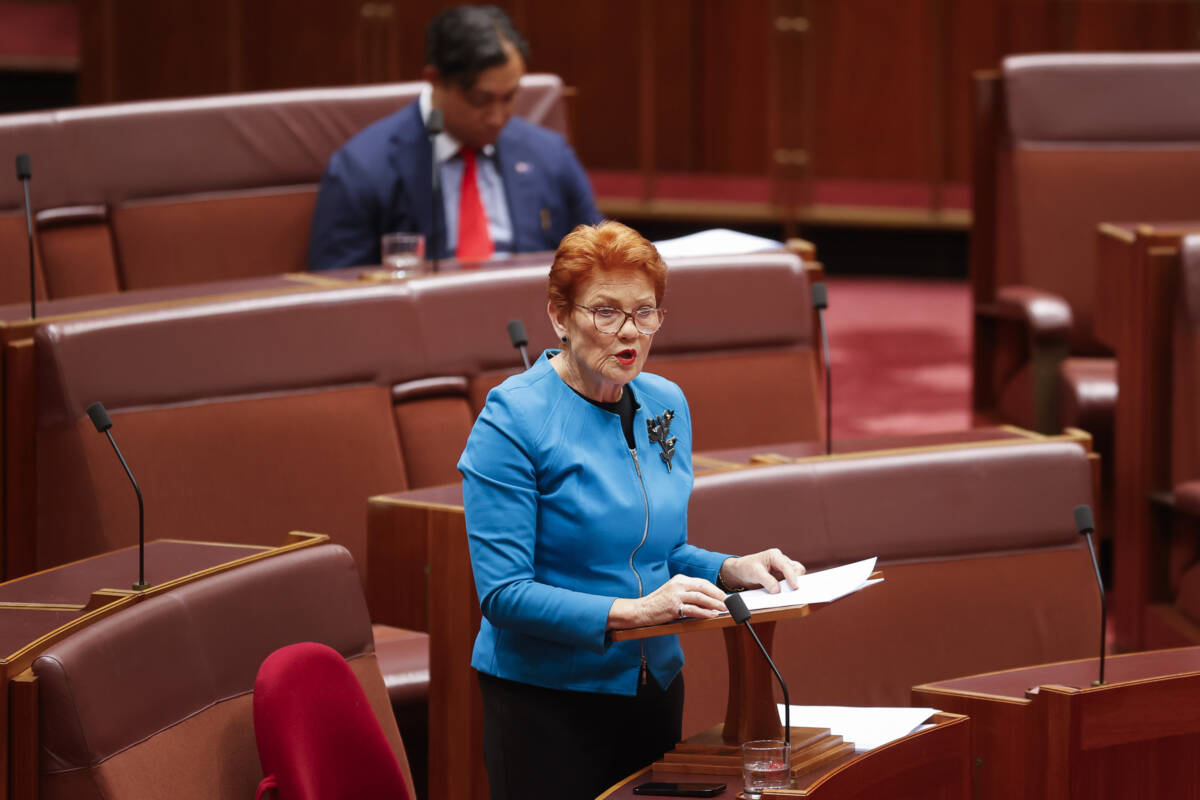 Article image for ‘They win’ – The real winners of One Nation’s success