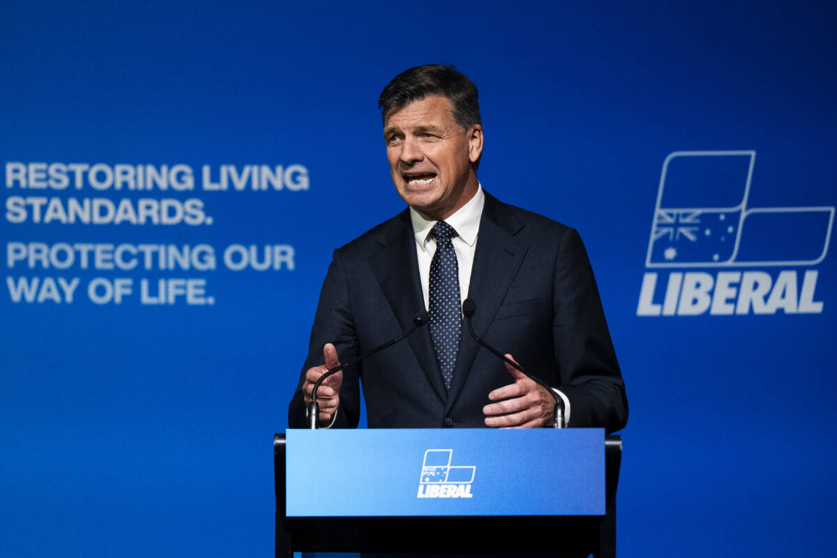 Article image for Michael McLaren unpacks what the Liberals actually need to win over women