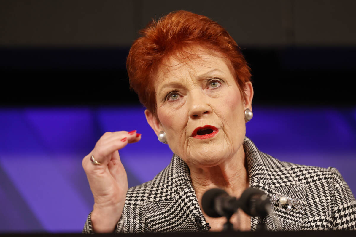 Article image for ‘Labor is worried’ –  One Nation urged to establish a credible plan in NSW