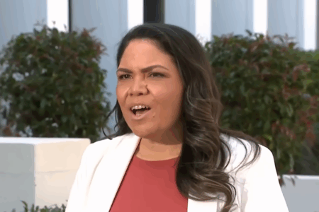 ‘They don’t care’ – Jacinta Price warns of grim future for small business