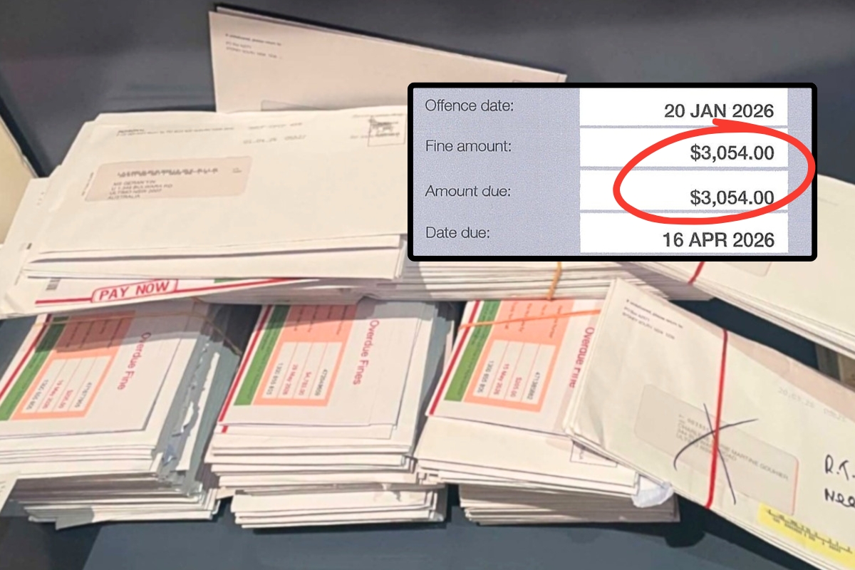 Article image for EXCLUSIVE – Foreign drivers ignoring hundreds of fines