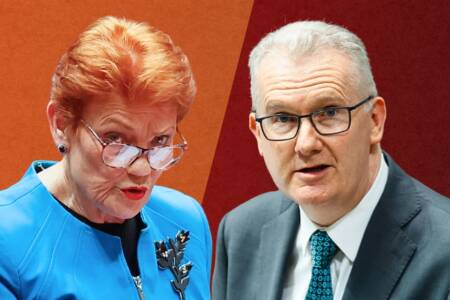 ‘He’s lying’ – Pauline Hanson rips into Tony Burke over migration