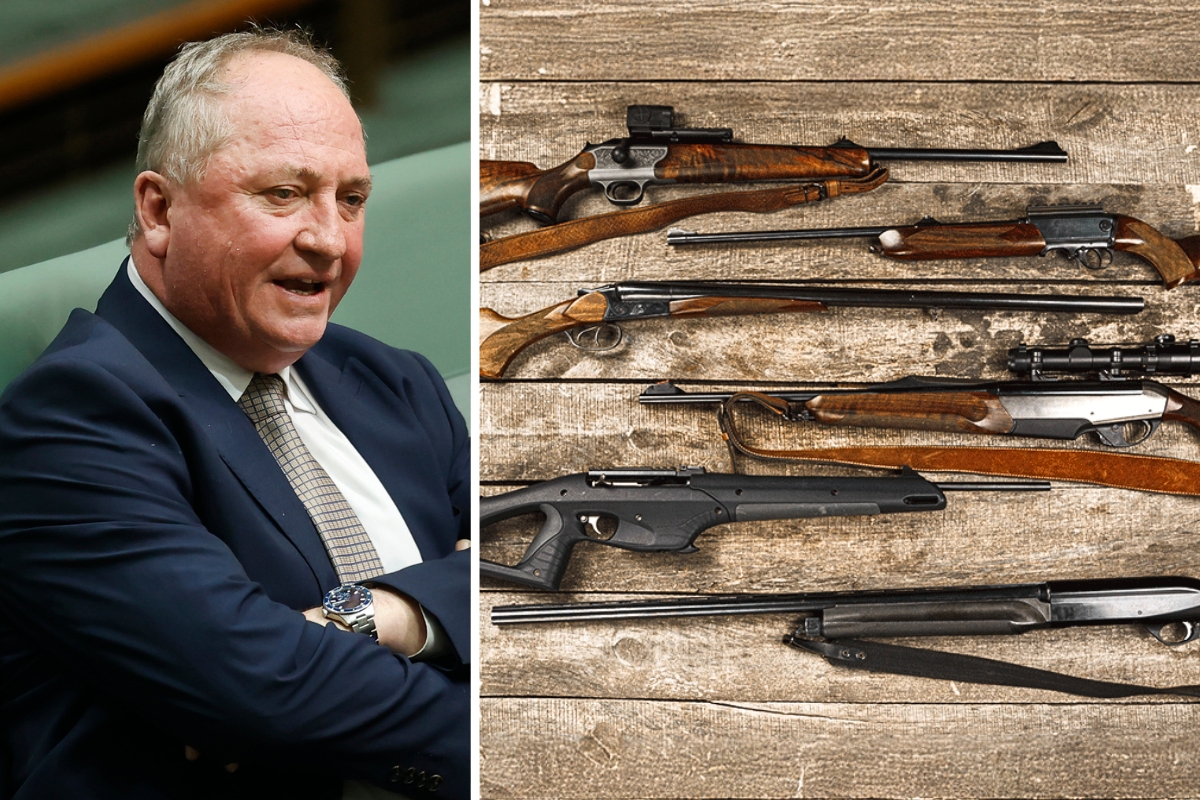 Article image for ‘Bullsh*t’ – Gun buyback targets farmers and ignores crims