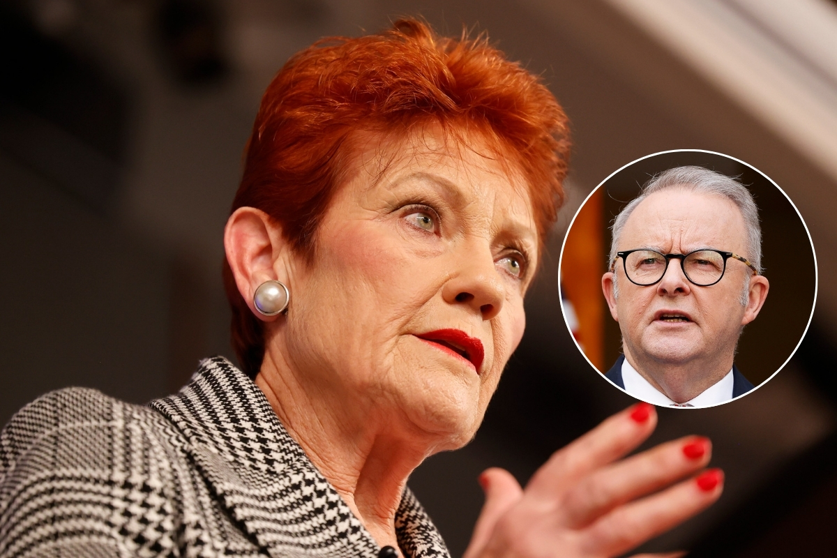 Article image for ‘Inciting violence’ – Pauline Hanson slams Albo over safety fears