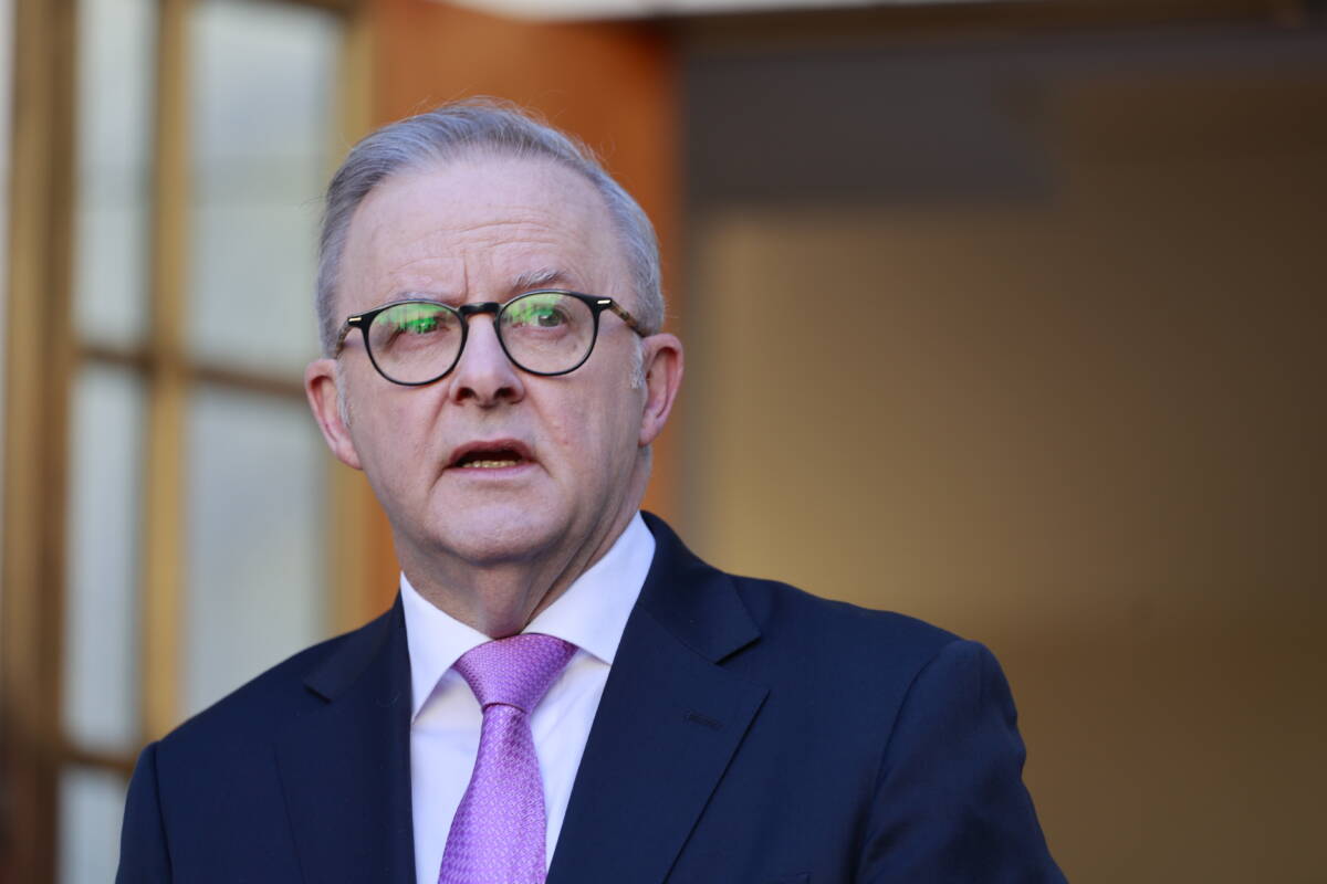Article image for ‘Talk to him’ – The left field suggestion Clinton has for Albanese