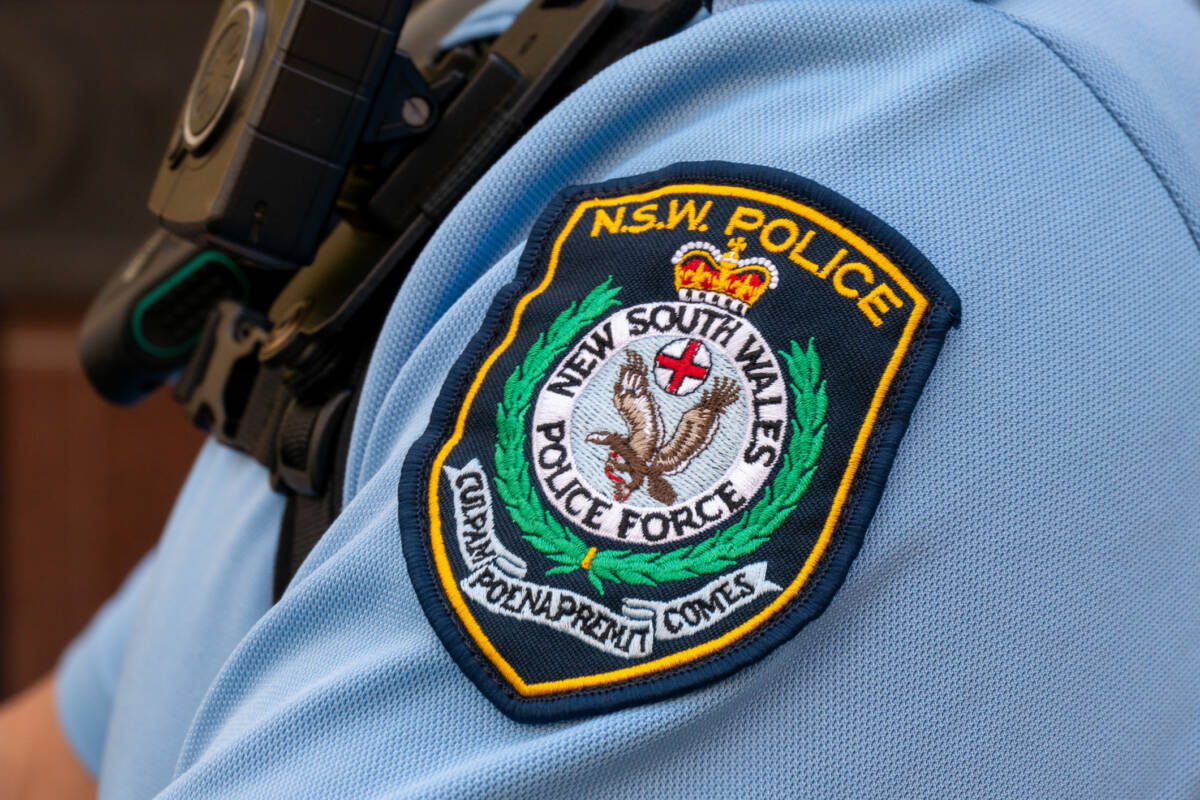 Article image for Top cop issues apology as miscommunication blamed for claim Lily Hooper was alive