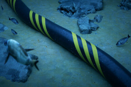 ‘We’re extremely vulnerable’: Expert’s warning after subsea cables damaged