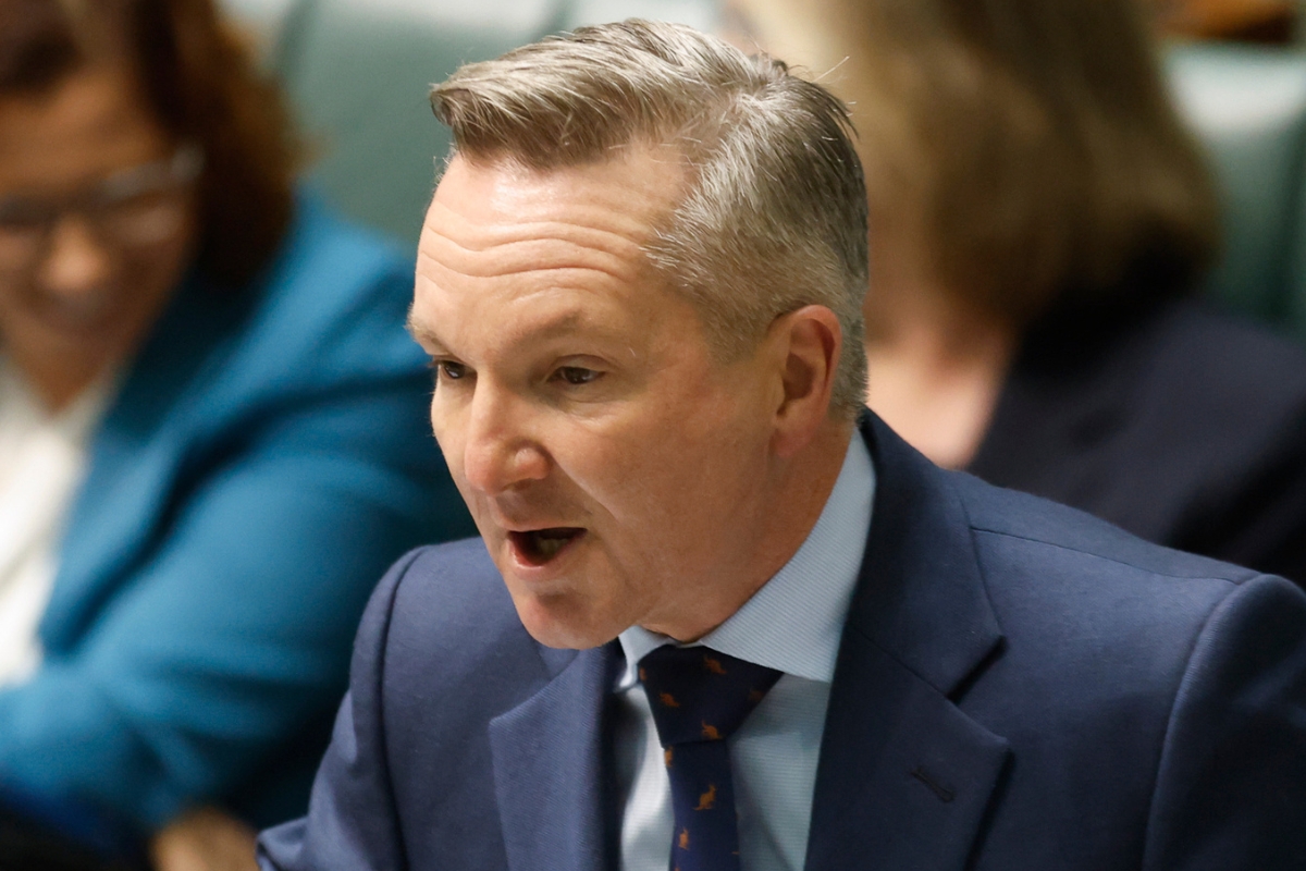 Article image for ‘What a flop’ – Chris Bowen’s green dreams squashed