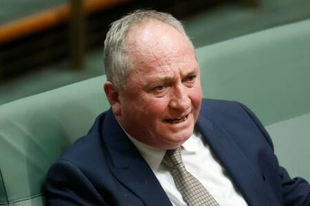 EXCLUSIVE – Barnaby Joyce denies neo-Nazi meeting