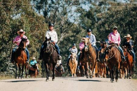 ‘Do better’ – Farmers fight wind farm on horseback