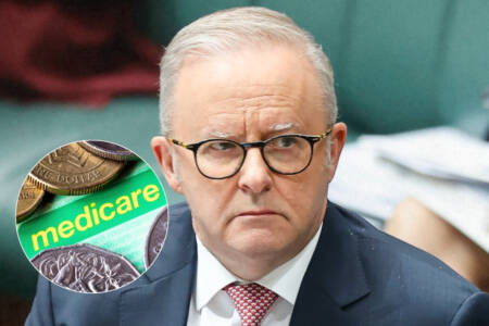 ‘Extremely concerning’ – AI attack on Australian Government site
