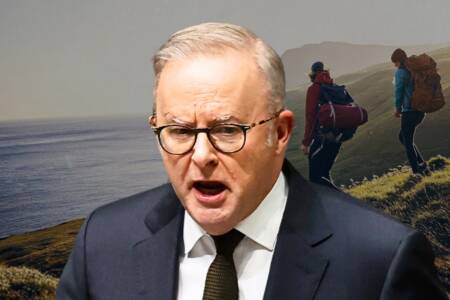‘Wrong targets’ – PM slammed for crackdown on backpackers