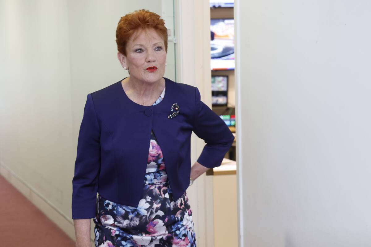Article image for ‘Going to be ugly’ – One Nation member not concerned by recent Hanson criticism