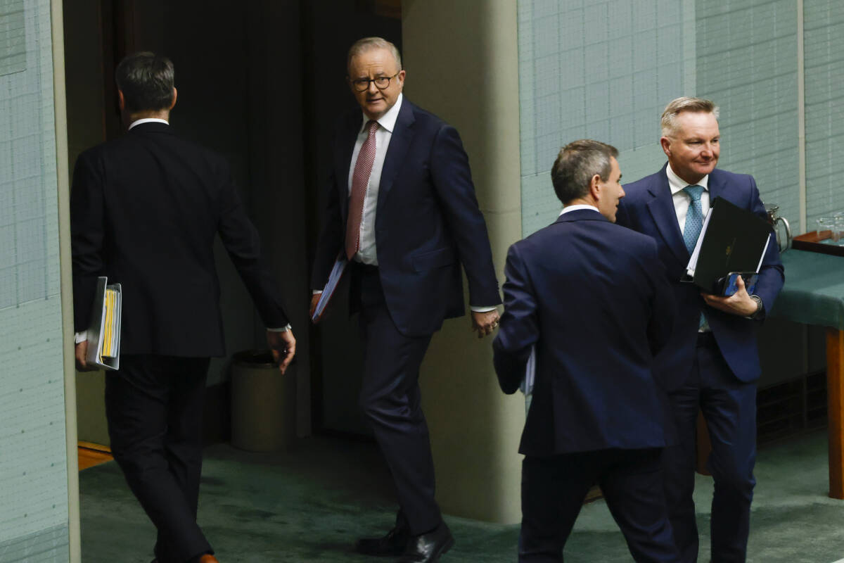 Article image for ‘Hiding from headlines’ – Lucy Zelić takes Albo to task