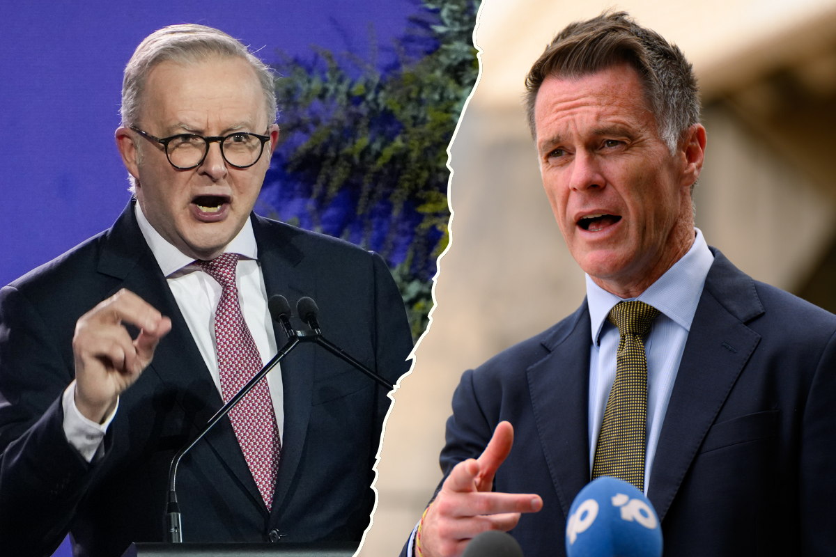 Article image for ‘They don’t get along’ – Sydney is getting screwed over by Minns, Albo beef