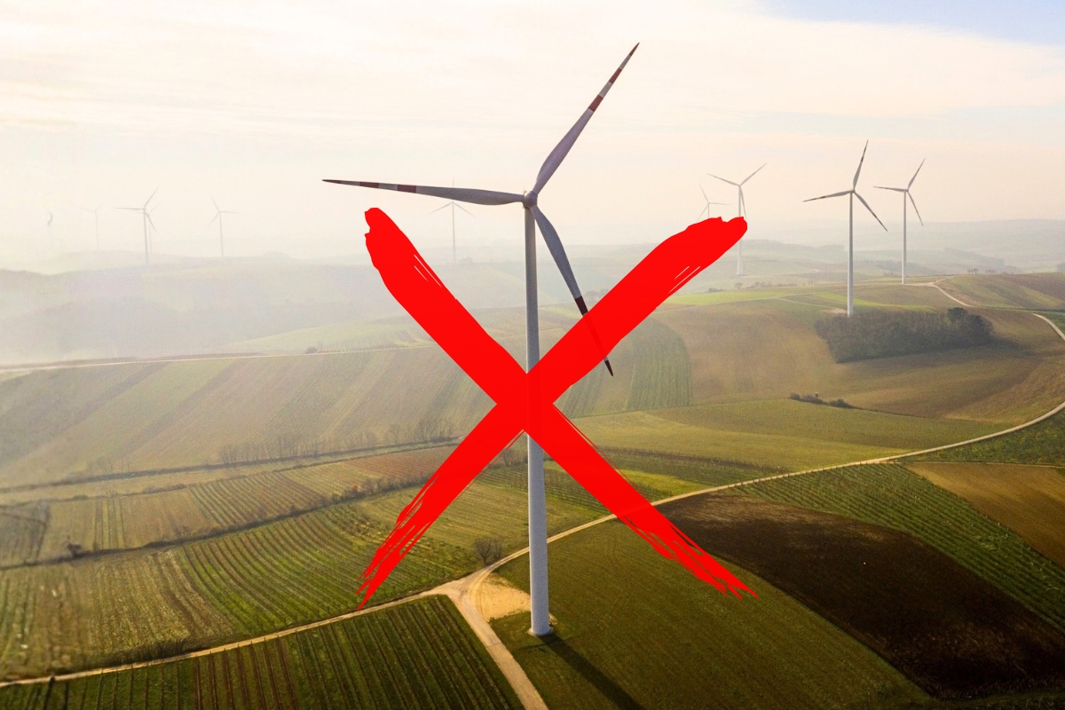 Article image for ‘Field of dreams’ – Major renewables project axed over cost blowout