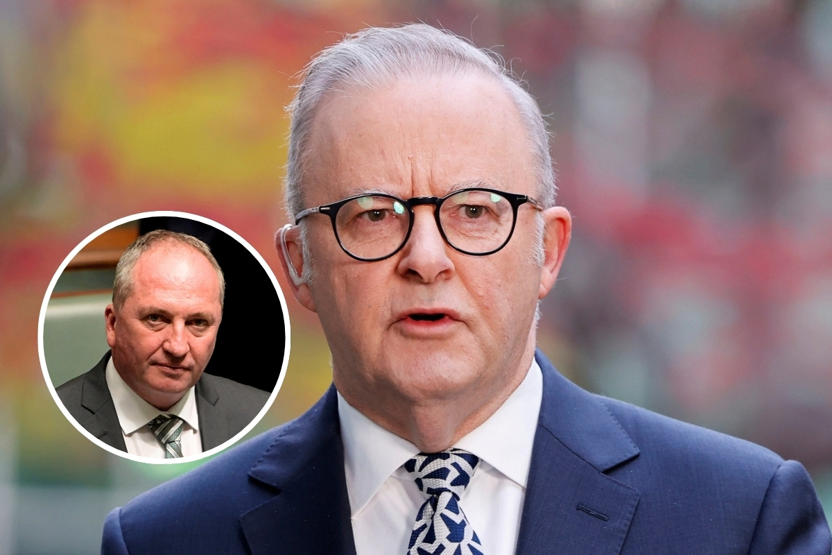 Article image for EXCLUSIVE – Barnaby Joyce predicts Albo leadership challenge