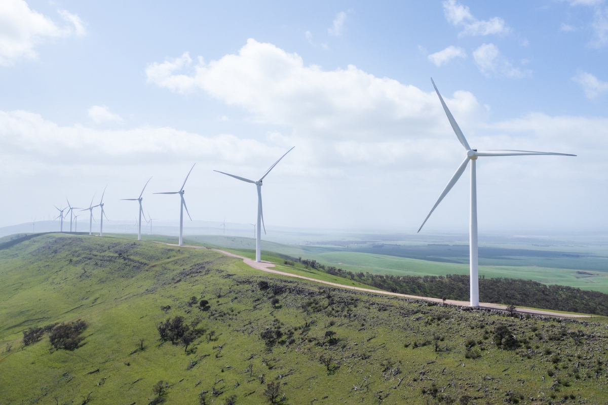 Article image for ‘Scrap it’ – One Nation outlines plan to end Net Zero
