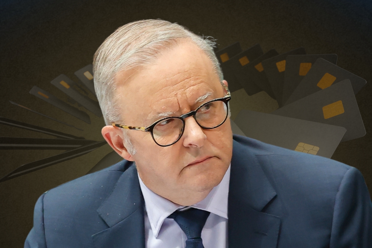 Article image for ‘Pissed off’ – Labor MP’s fight Albo over card surcharge ban