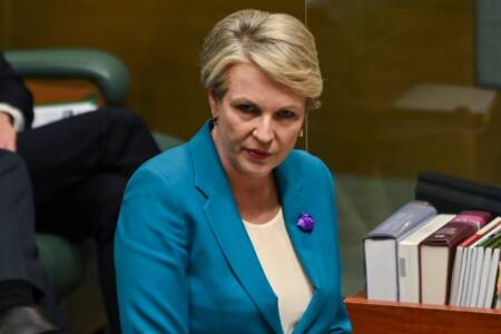 ‘Sucked in’ – How Tanya Plibersek was fooled by fake news