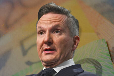 ‘Show us the money’ – Chris Bowen hides Snowy 2 cost blowout