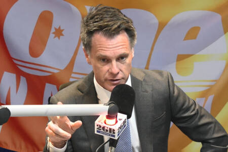 ‘One Nation could win’ – Labor Premier’s election tip