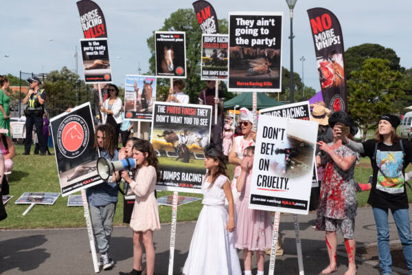 Mark Levy hits back at horse racing protesters ahead of the Melbourne Cup