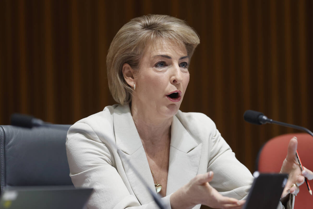 Article image for Michaelia Cash calls out Prime Minister’s push to end criticism of the government